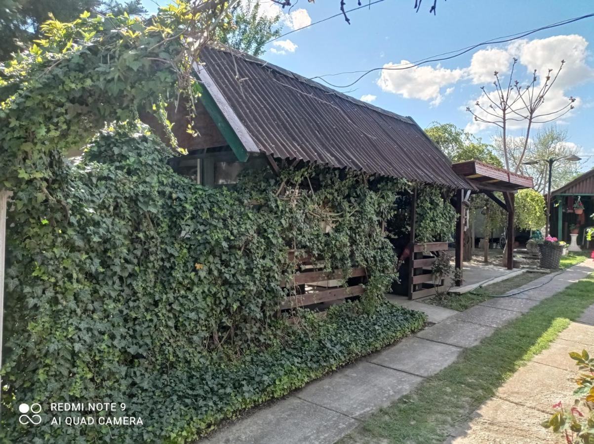 Olga Vendeghaz Apartment Abádszalók Bagian luar foto