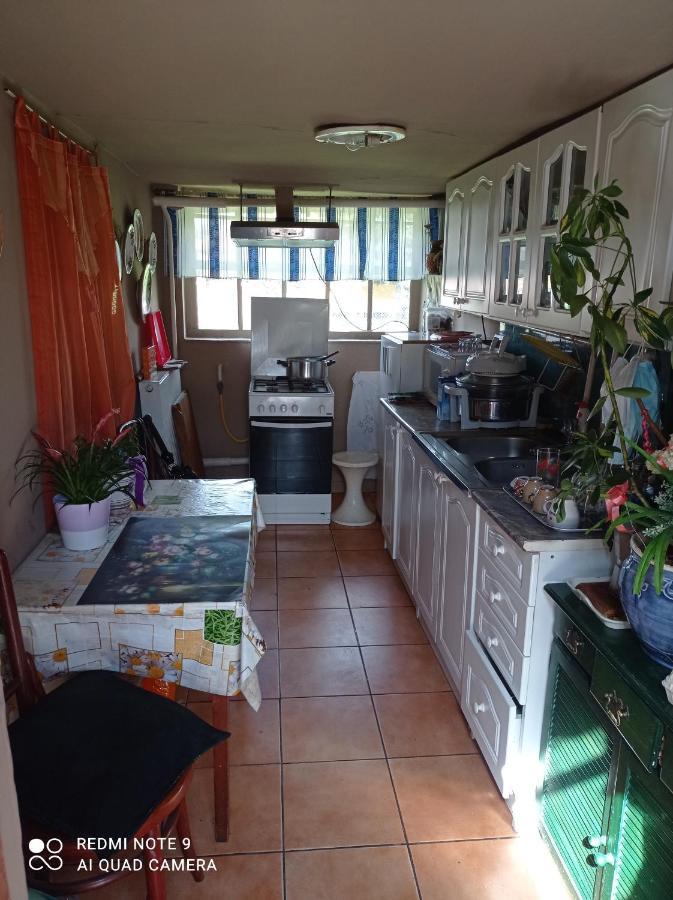 Olga Vendeghaz Apartment Abádszalók Bagian luar foto