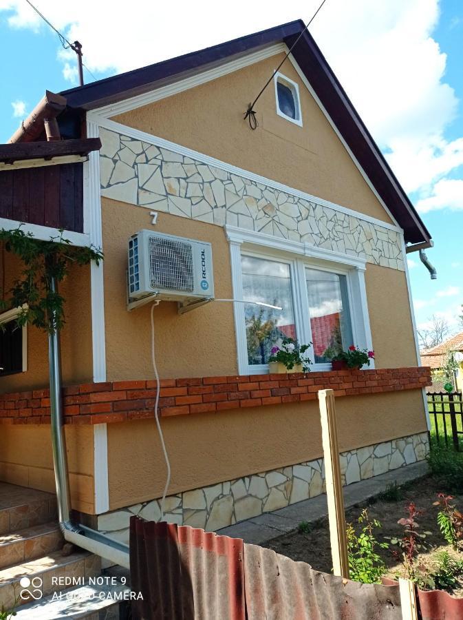 Olga Vendeghaz Apartment Abádszalók Bagian luar foto