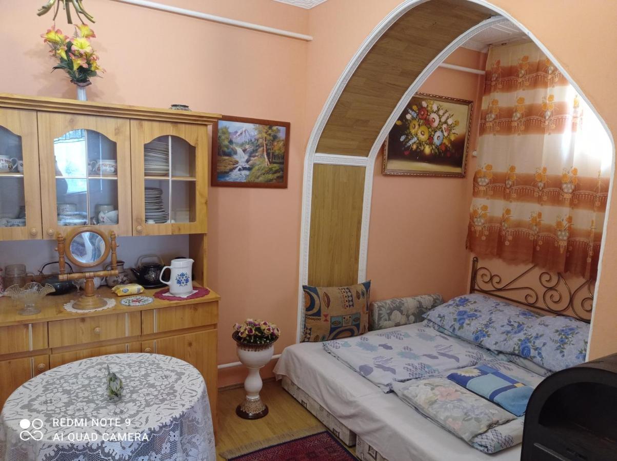 Olga Vendeghaz Apartment Abádszalók Bagian luar foto